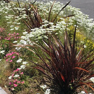 大手町 街角花壇