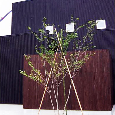 Moden Style 1