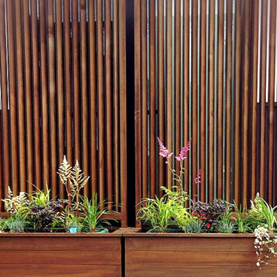 Container Garden 1