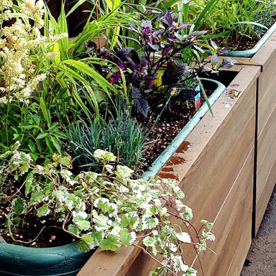 Container Garden 2