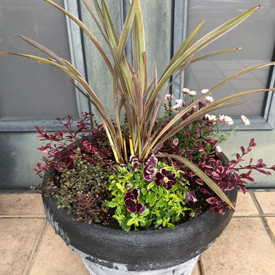 Container Garden 2